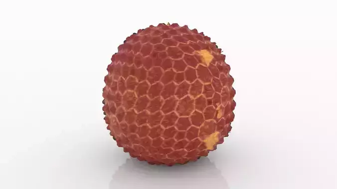 Lychee 3D model