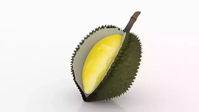 Durian Peeled 3D model