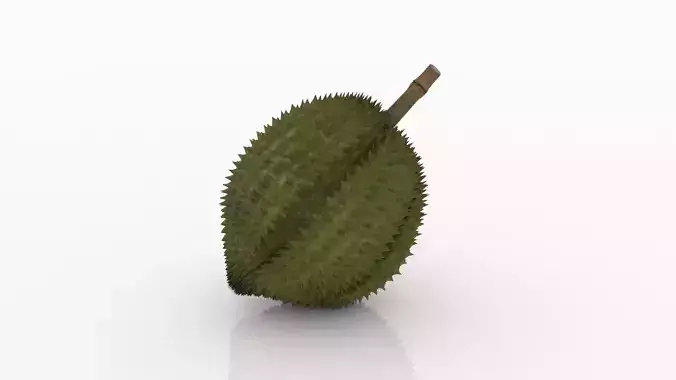Durian fruit