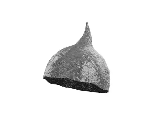 Foil Hat