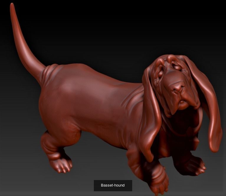 Set of dogs 3D Model Collection_1