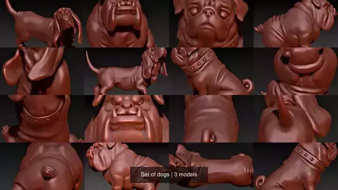 Set of dogs 3D Model Collection
