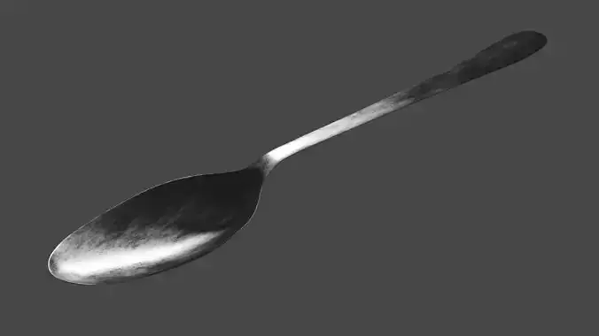 Metal Spoon