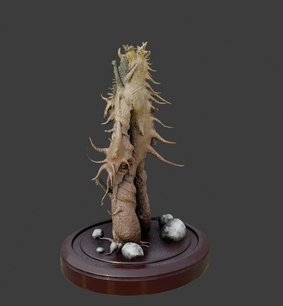 3D model Ent tree Free low-poly 3D model_3