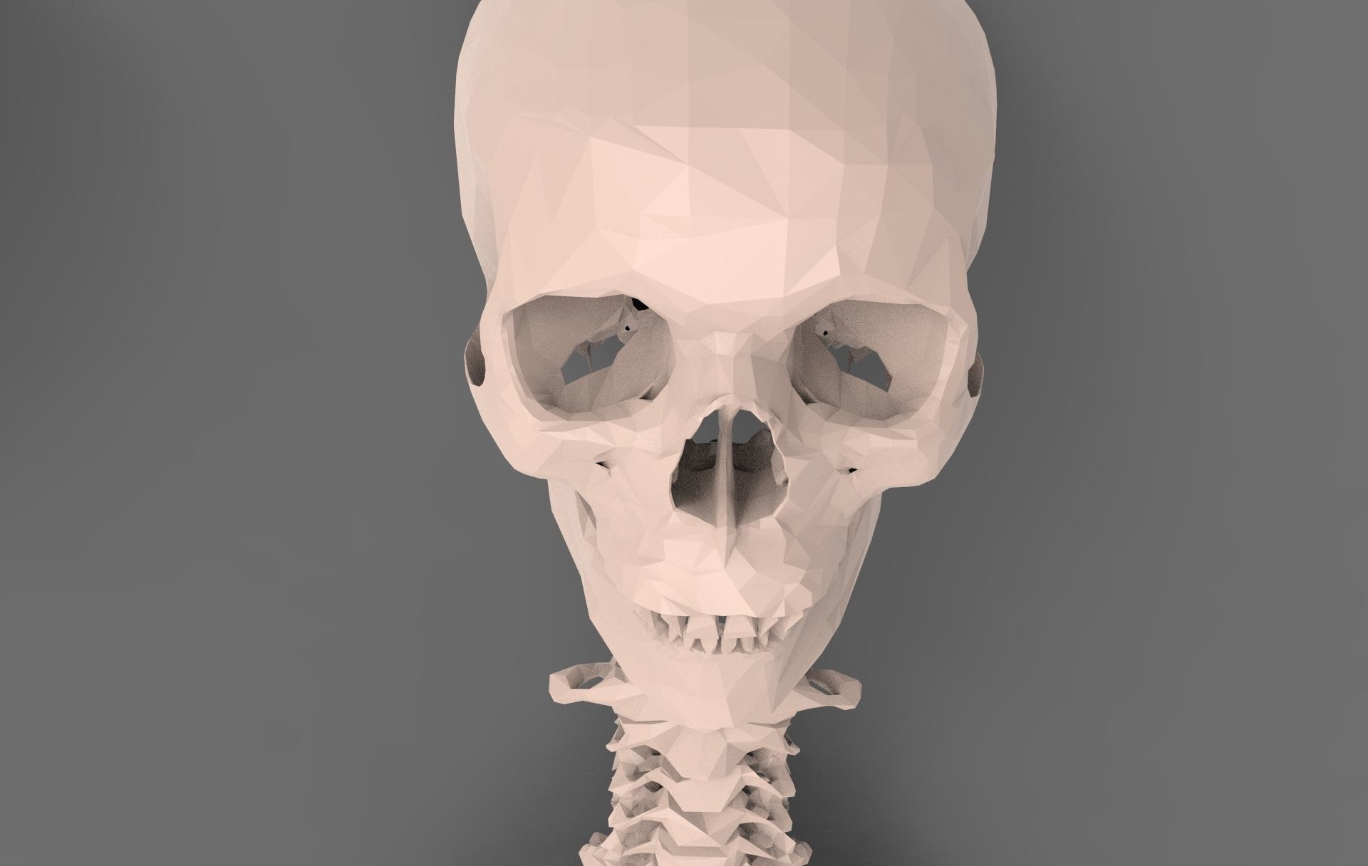 Skeleton - Human 3D model_3