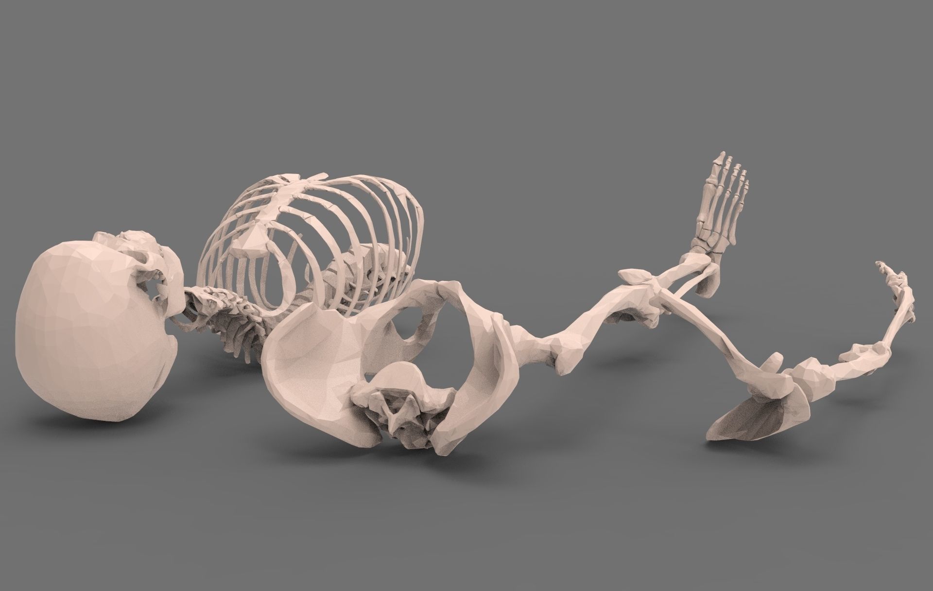 Skeleton - Human 3D model_1