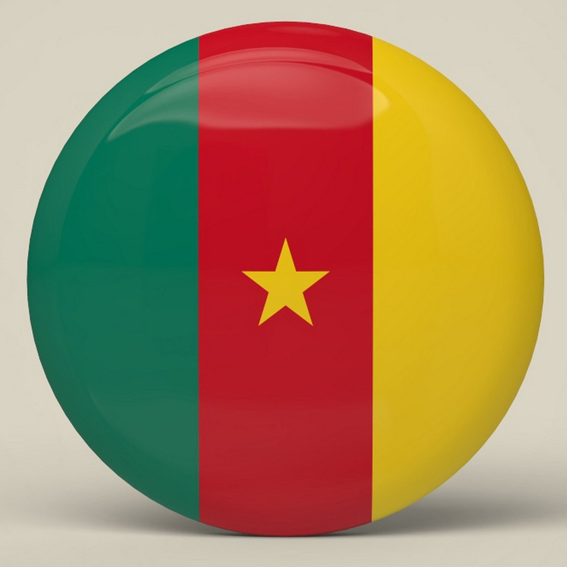 Cameroon Badge Low-poly 3D model_4