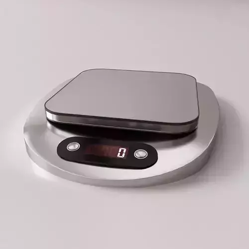 Electronic Scale