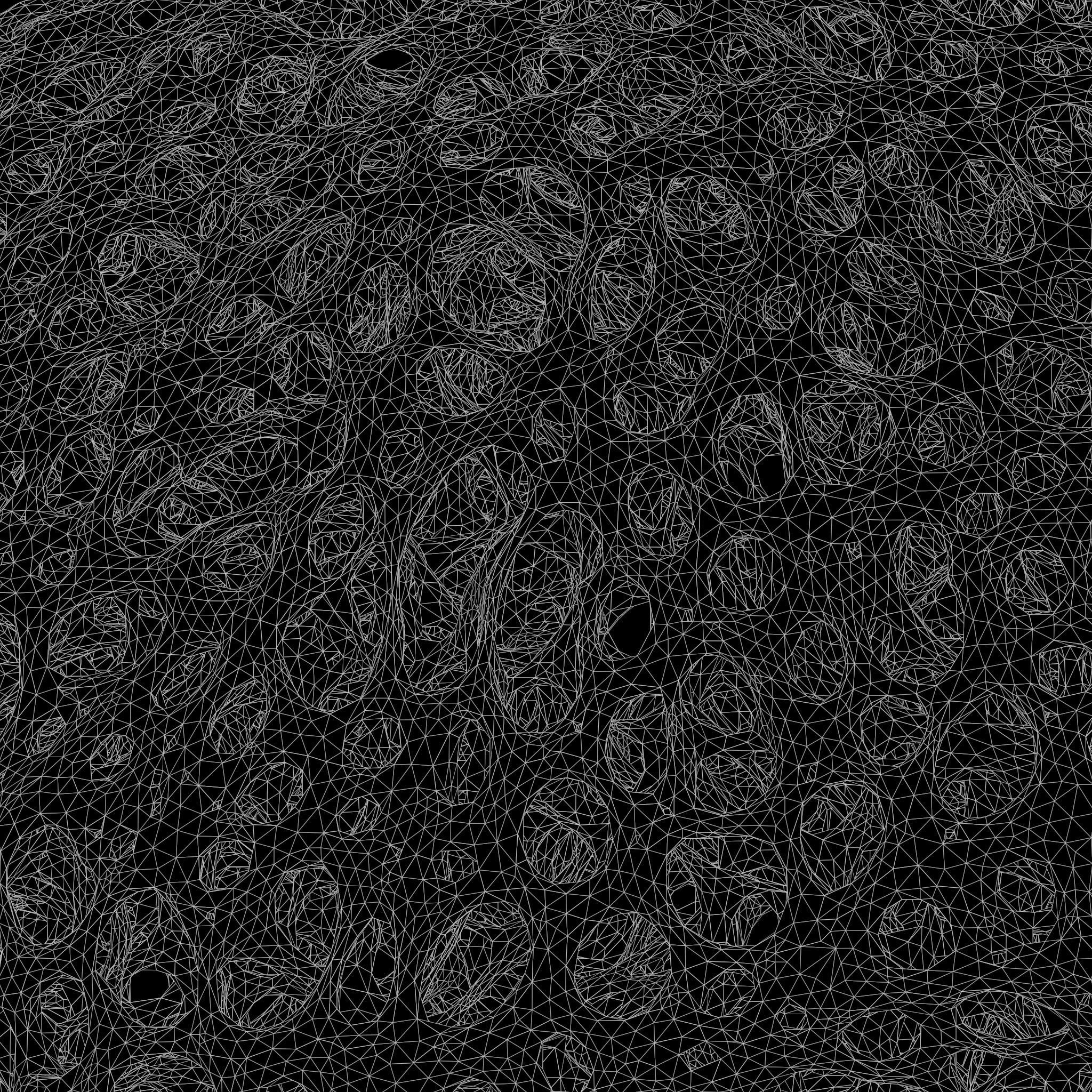 Bone Matrix Rectangle 3D model | CGTrader