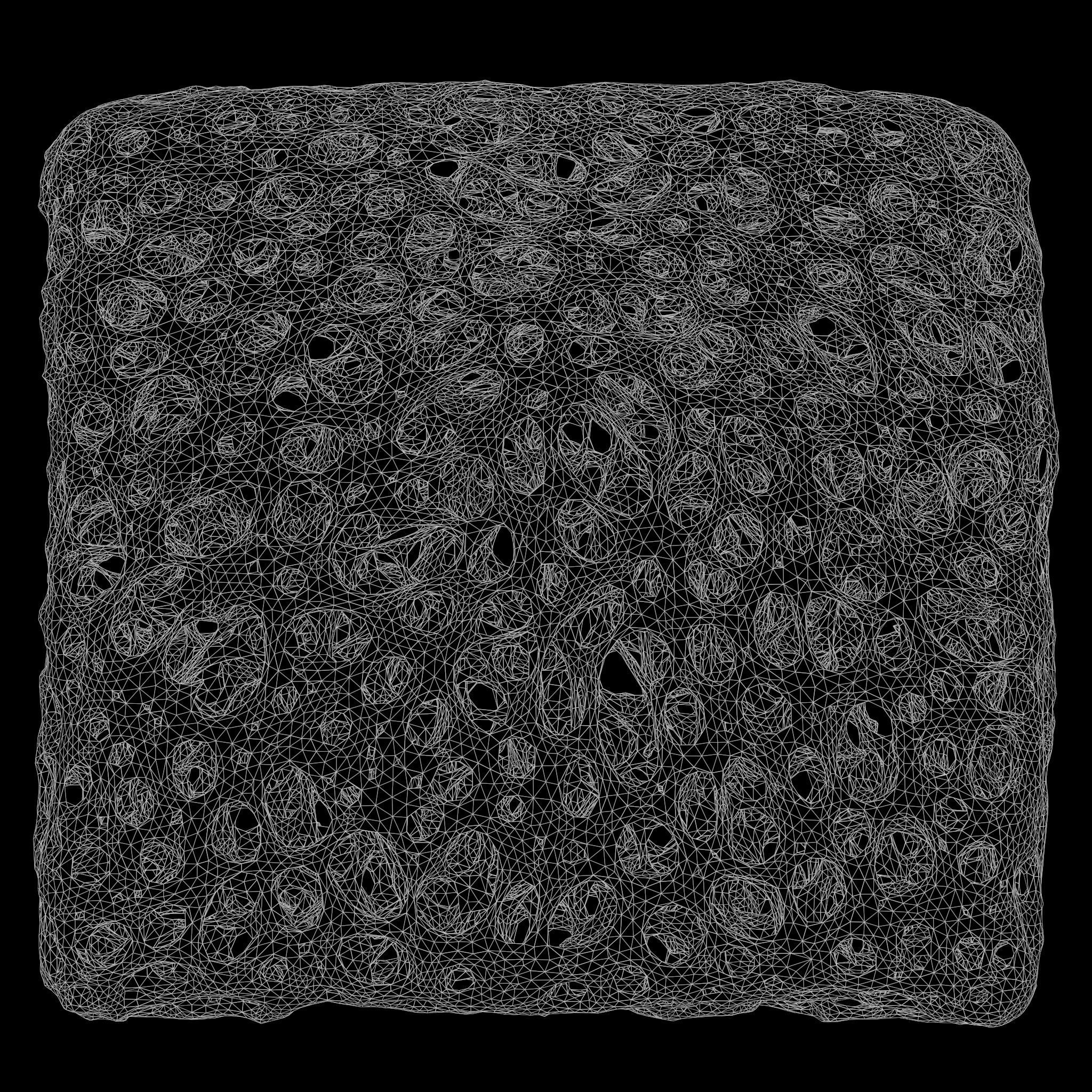 Bone Matrix Rectangle 3D model | CGTrader