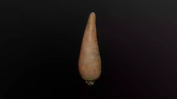 3D Scan Carrot Low-poly 3D model