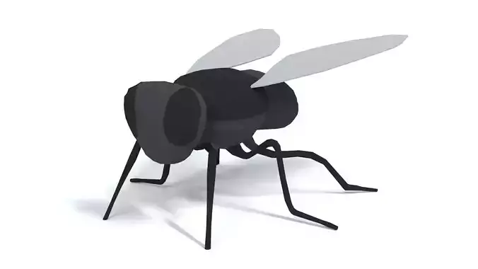 Low Poly Cartoon Fly  Low-poly 3D model