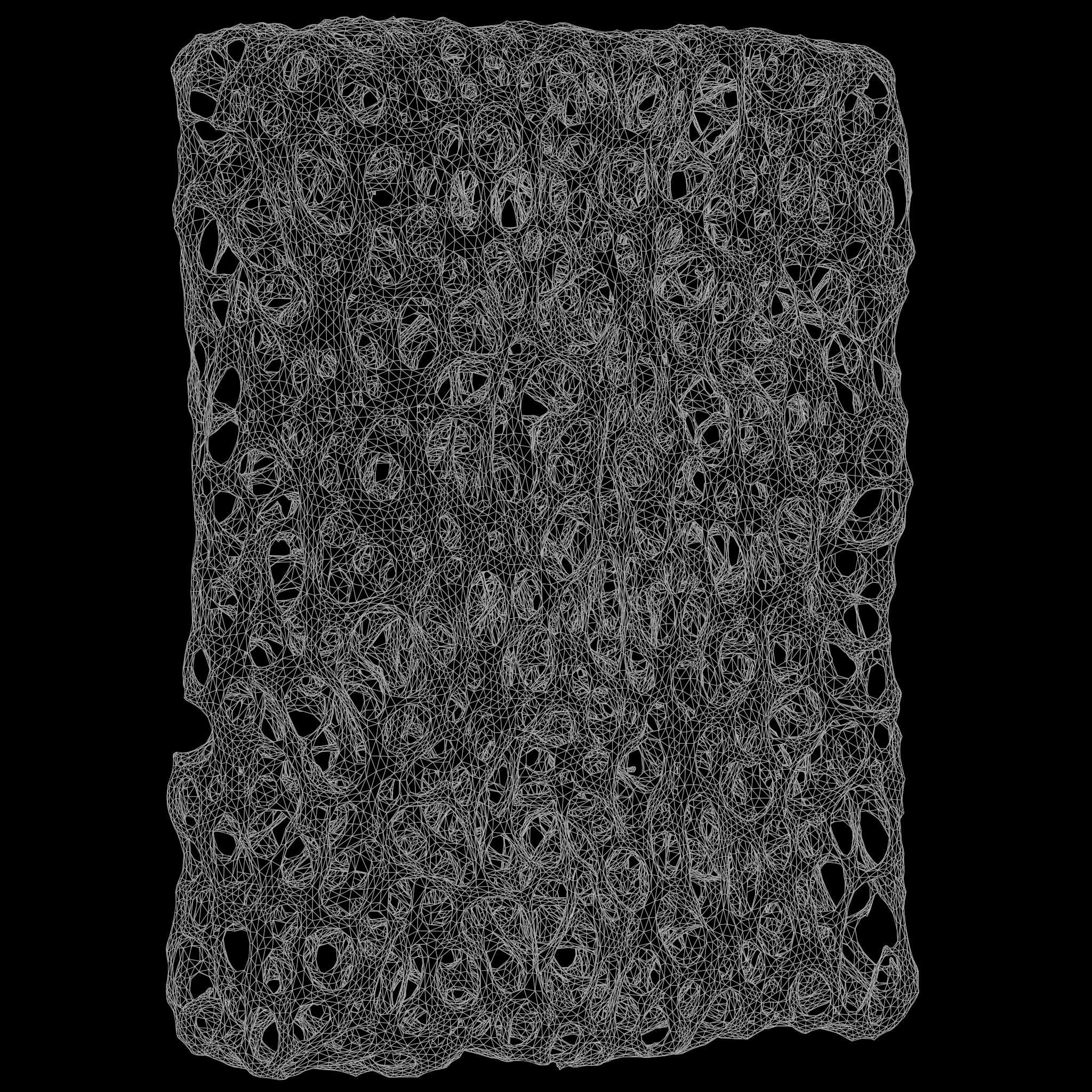 Bone Structure Sponge 3D model_8