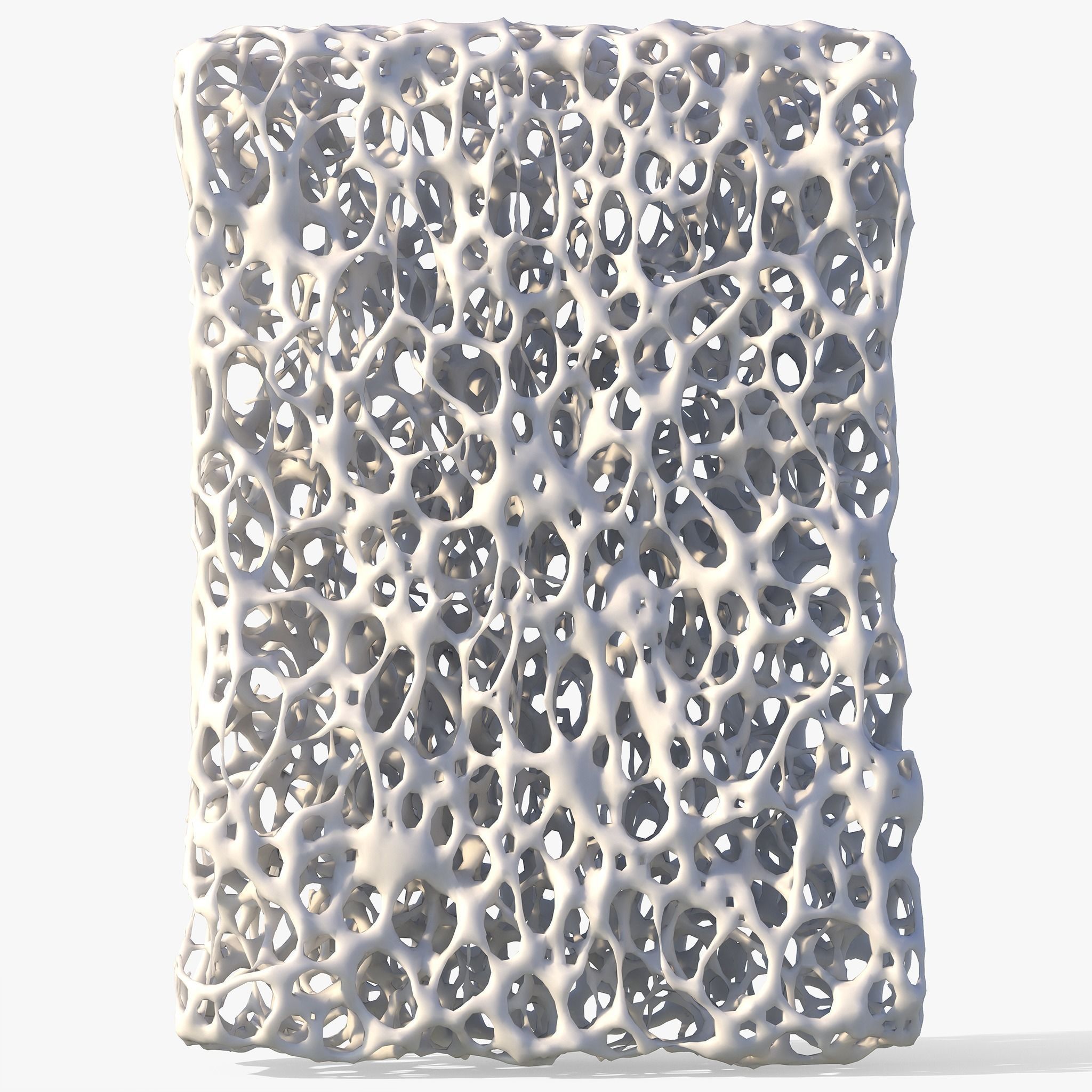 Bone Structure Sponge 3D model_4
