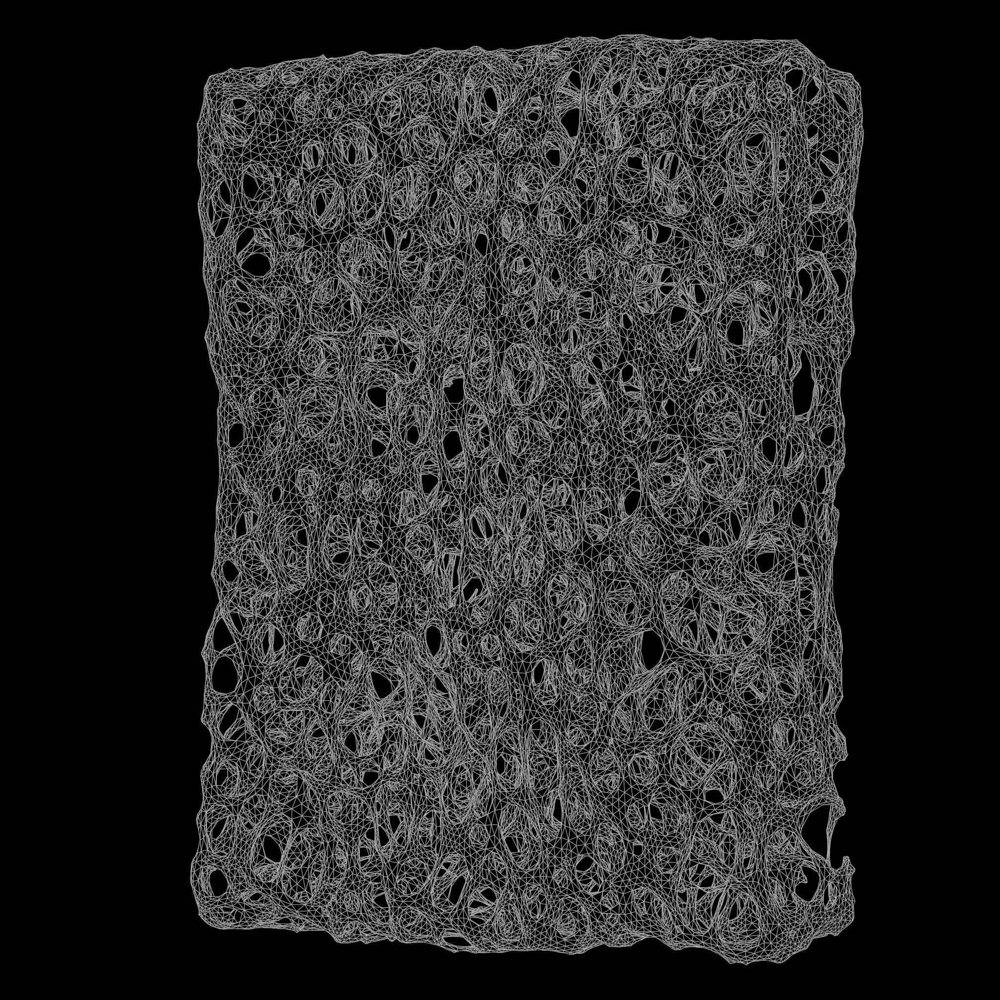 Bone Structure Sponge 3D model_7