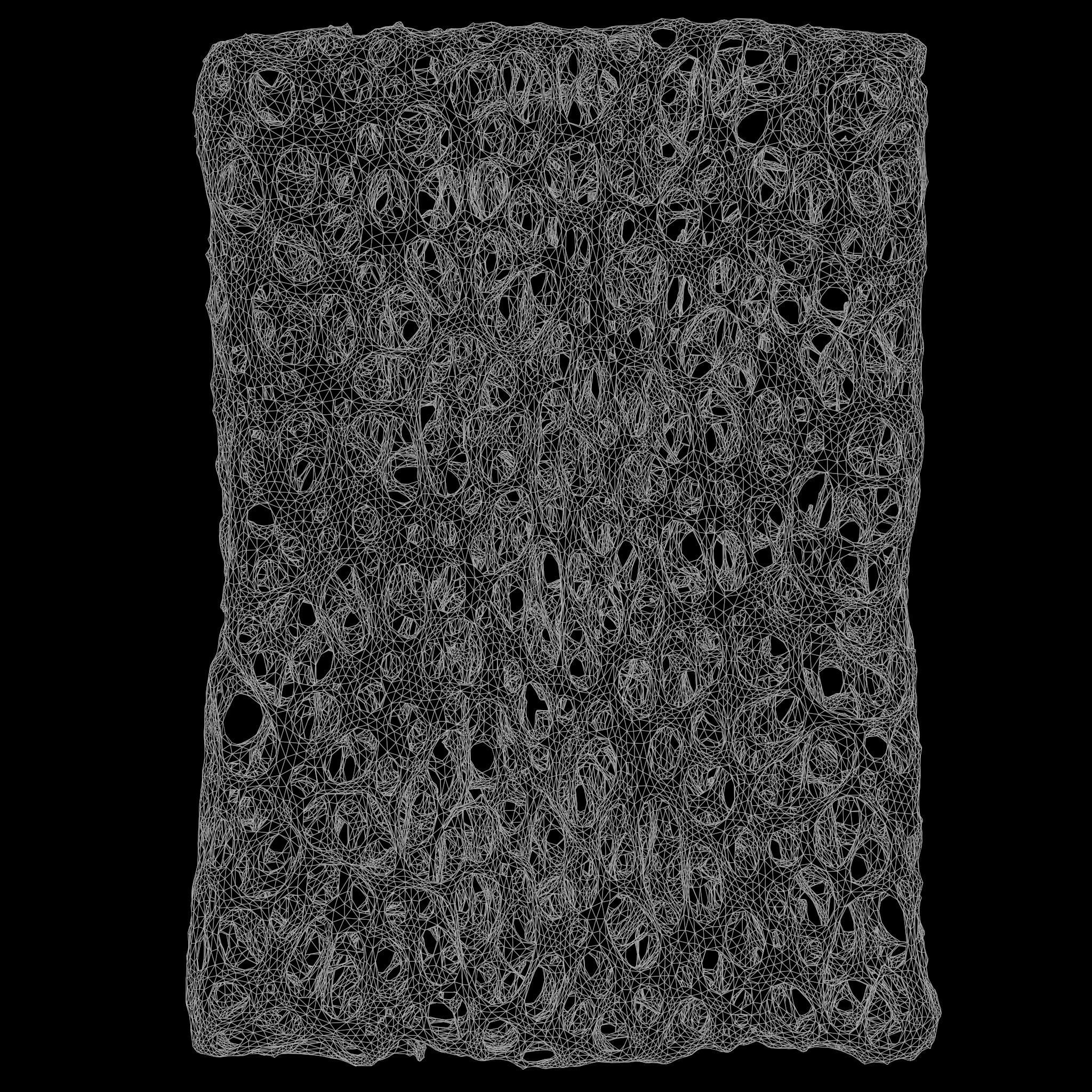 Bone Structure Sponge 3D model_5
