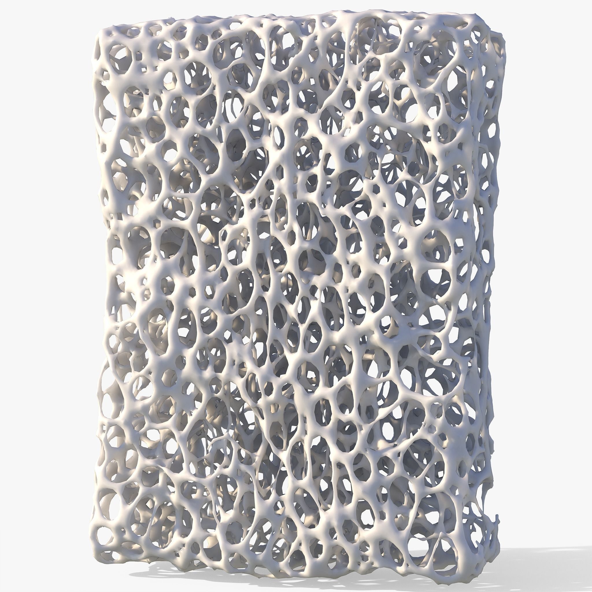 Bone Structure Sponge 3D model_2