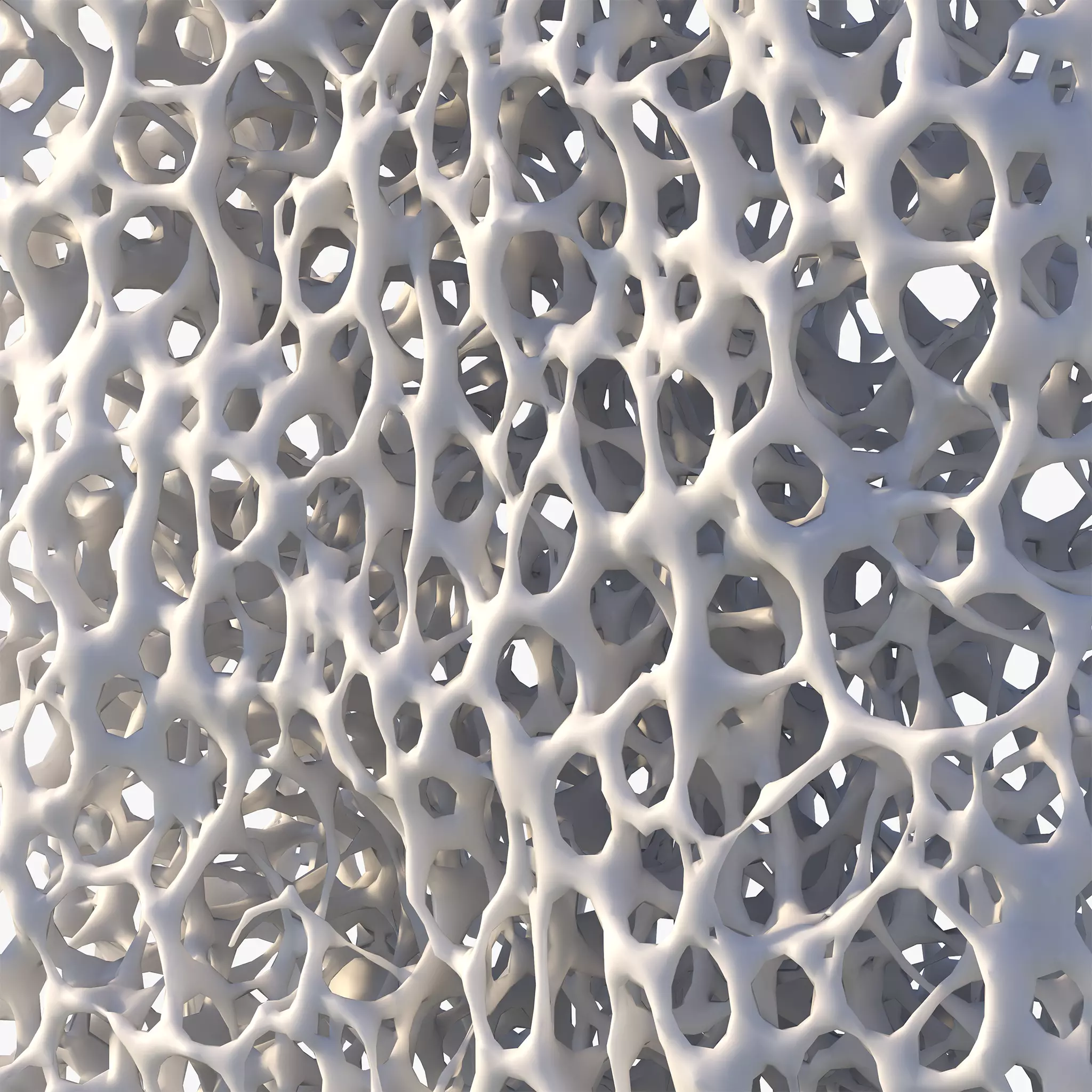 Bone Structure Sponge 3D model_0