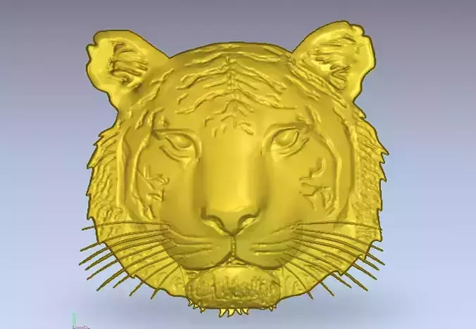 Tiger gold head