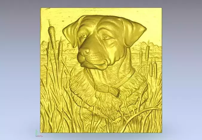 Portrait of a dog in the water 3D model