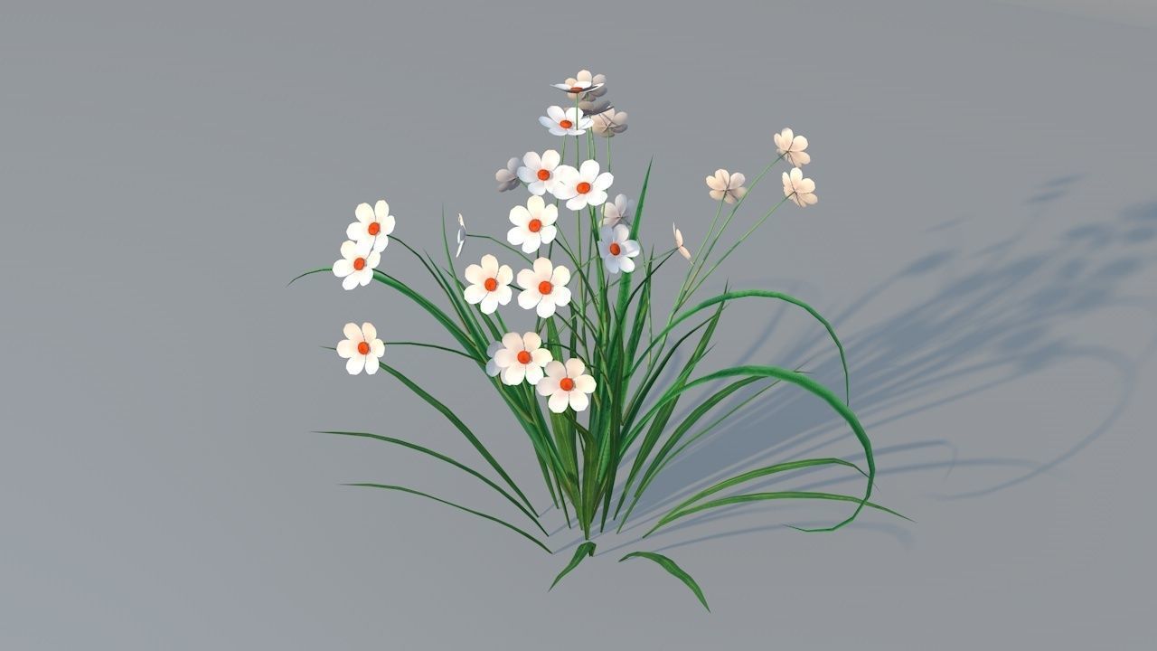Chamomile Game ready lowpoly model flower Low-poly 3D model_1