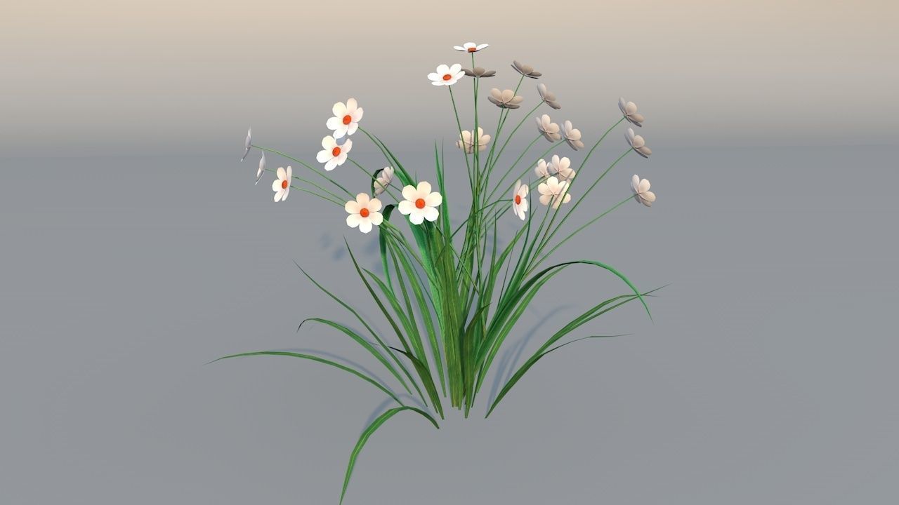 Chamomile Game ready lowpoly model flower Low-poly 3D model_2