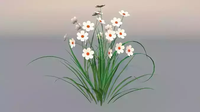Chamomile Game ready lowpoly model flower Low-poly 3D model