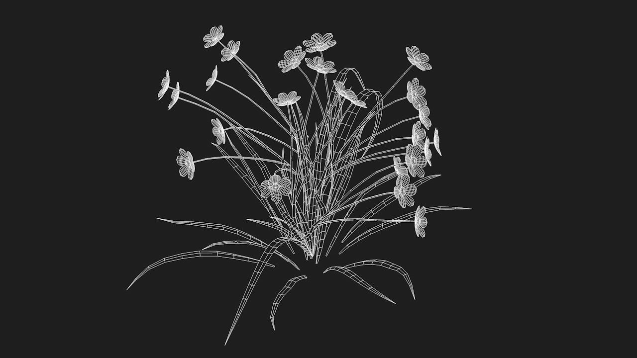 Chamomile Game ready lowpoly model flower Low-poly 3D model_6