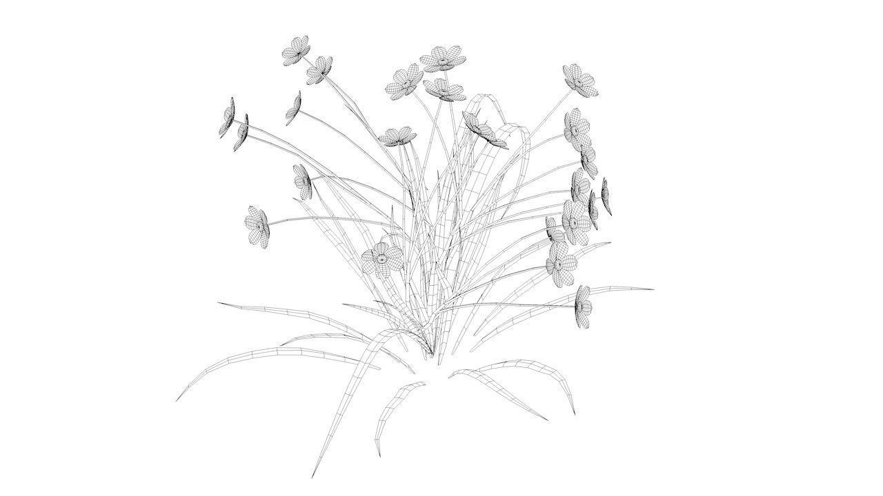 Chamomile Game ready lowpoly model flower Low-poly 3D model_5