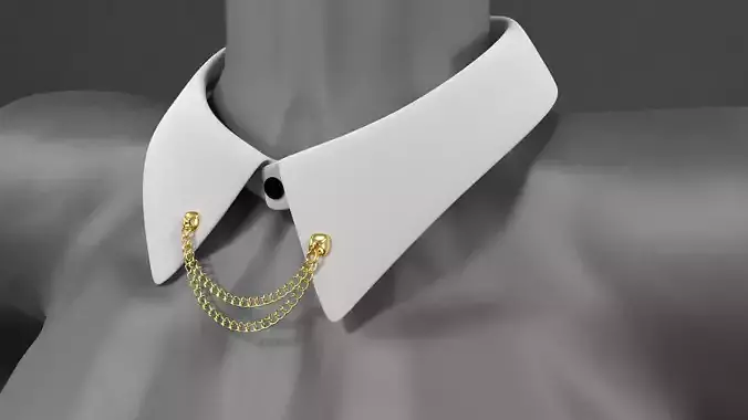 Collar accessory w chain