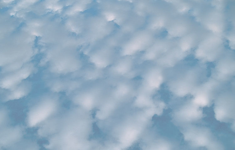 f-22 recon jet Free 3D model_1