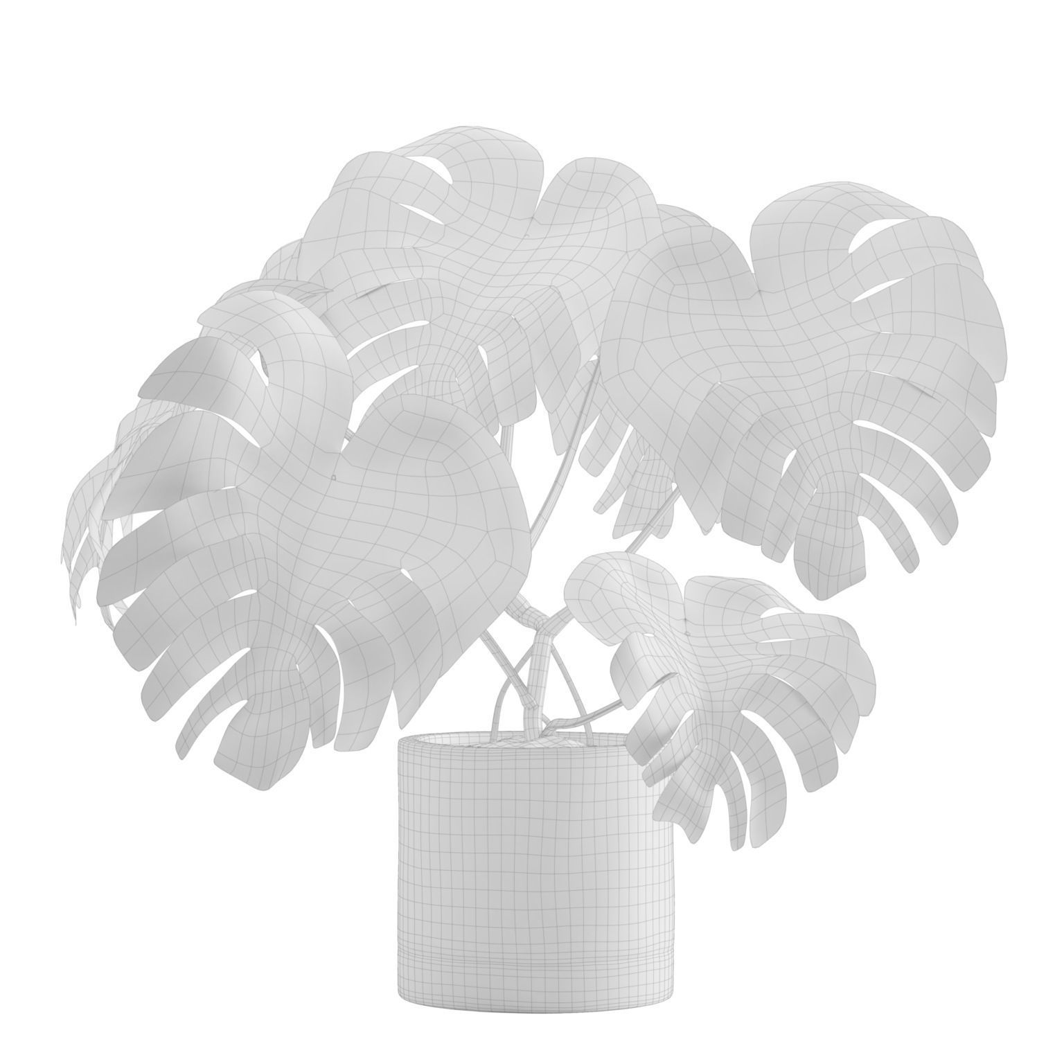 Monstera Deliciosa SwissCheese Plant 3D model_2