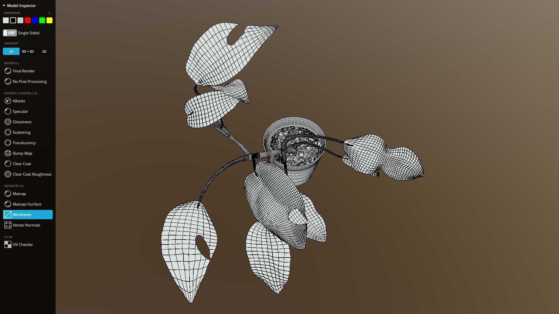 Monstera deliciosa - interior plant Low-poly 3D model_10