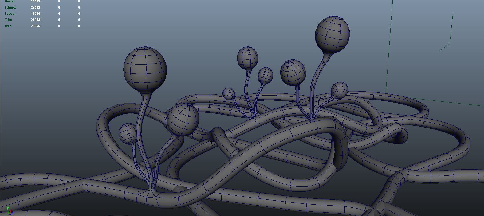 mucor sperm 3D model_8