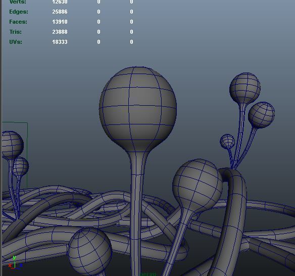 mucor sperm 3D model_7