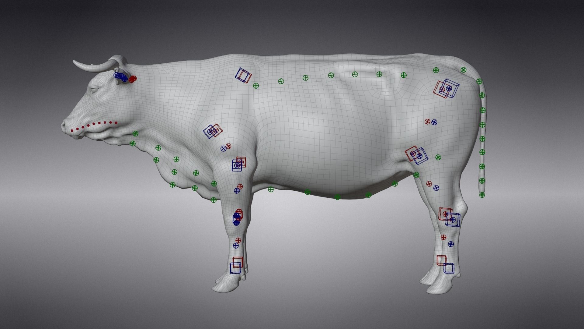 Cattle Cow Rigged  VFX Grace 3D model_13