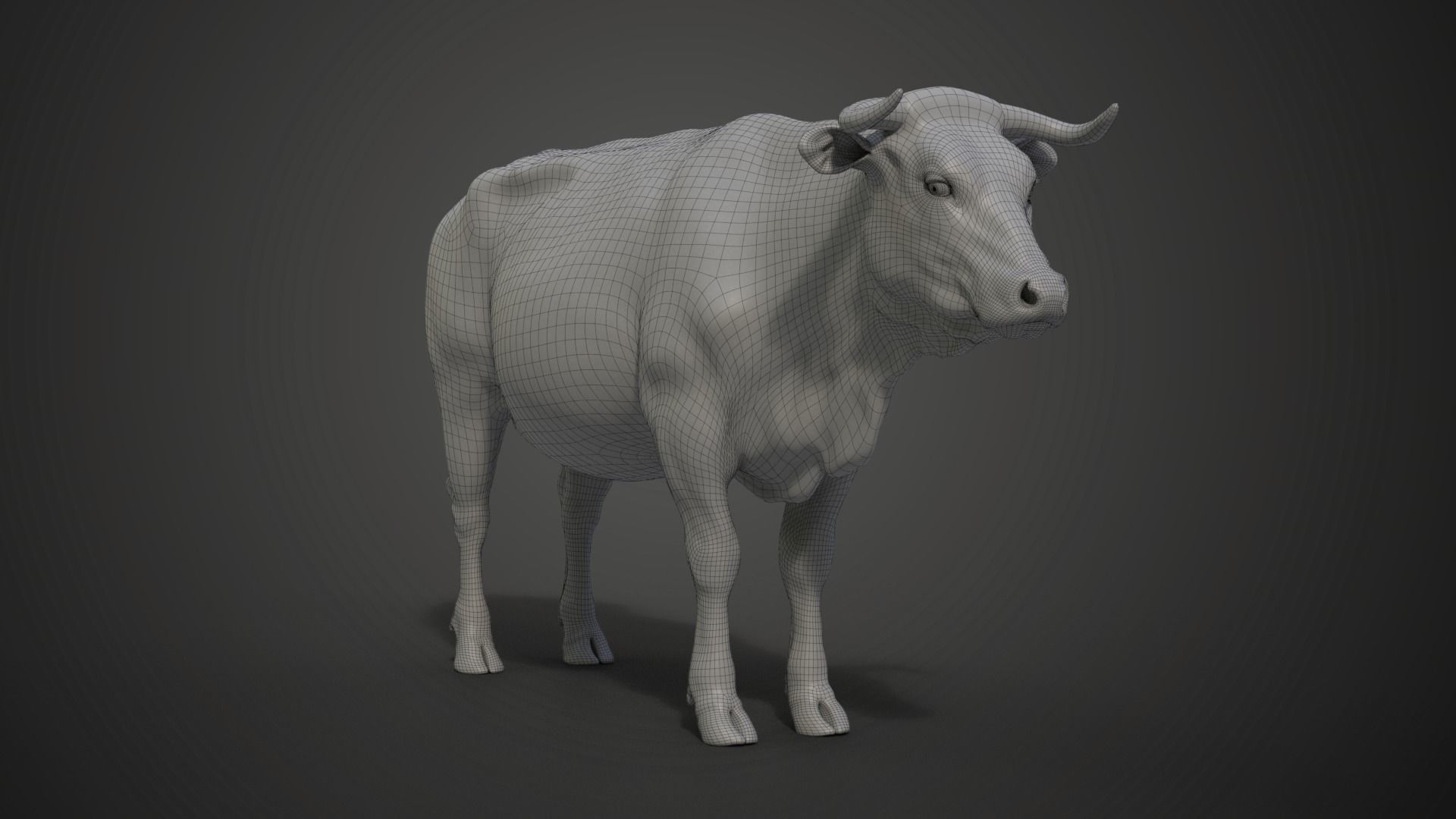 Cattle Cow Rigged  VFX Grace 3D model_23