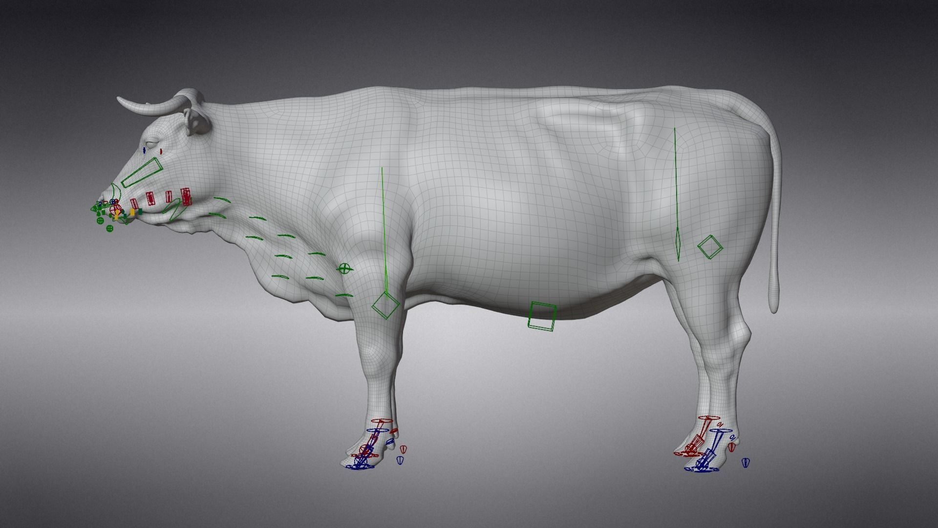 Cattle Cow Rigged  VFX Grace 3D model_12