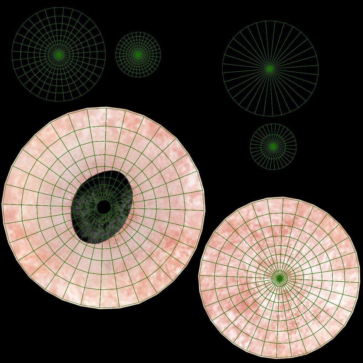 Cattle Cow Rigged  VFX Grace 3D model_22