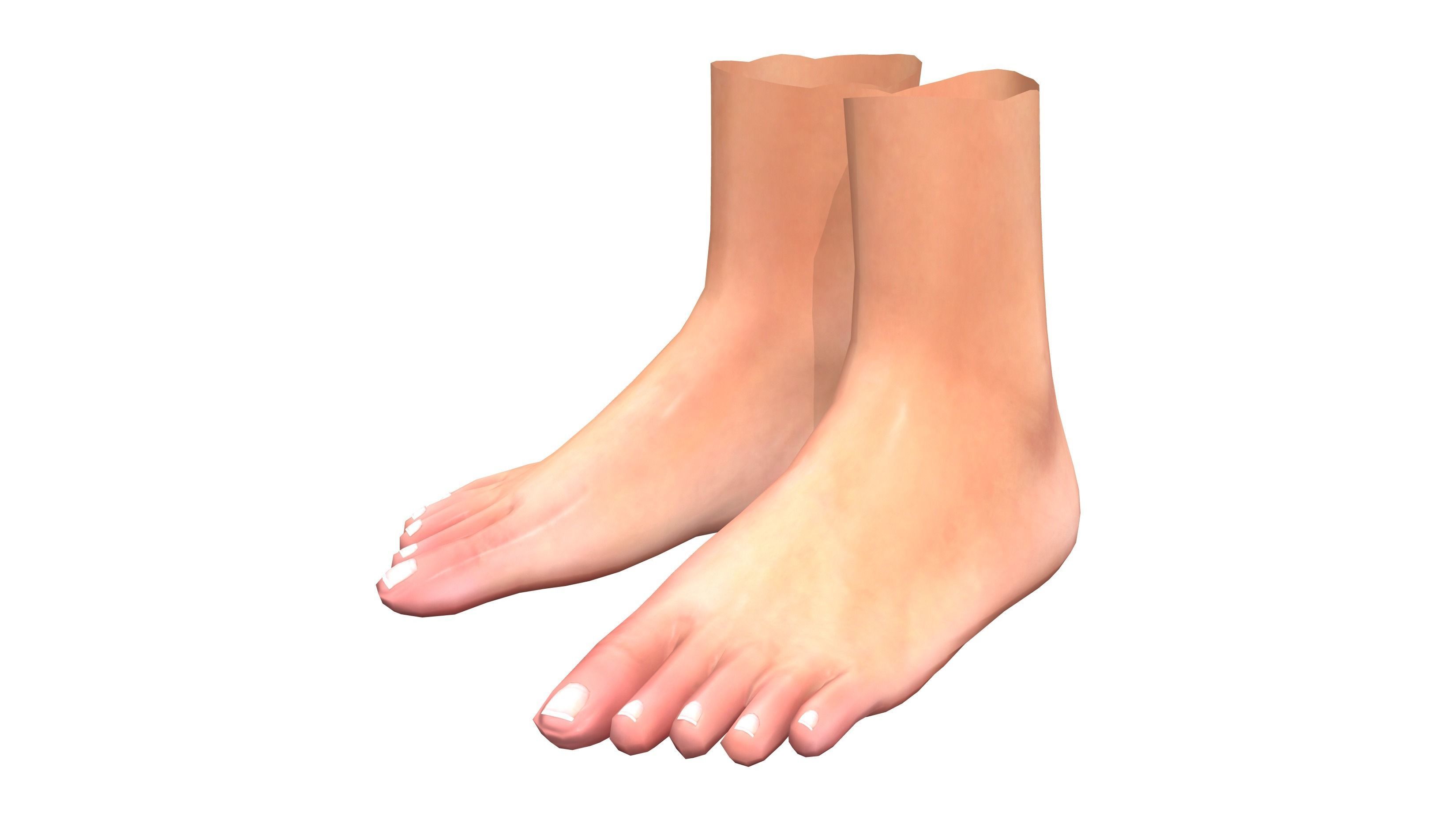 Flat Feet Low-poly 3D model_3