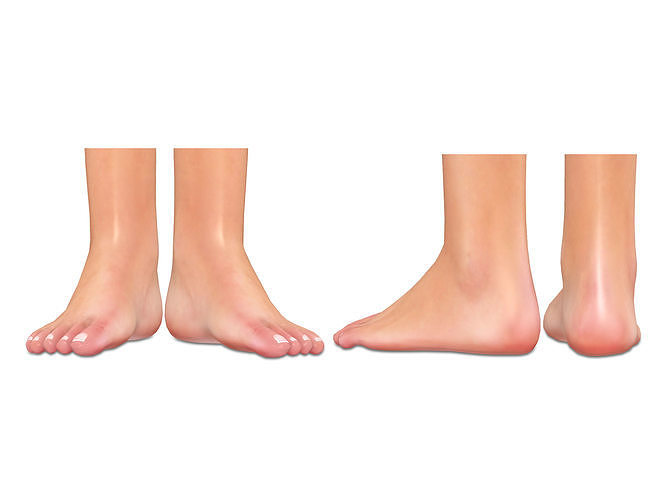 Flat Feet Low-poly 3D model