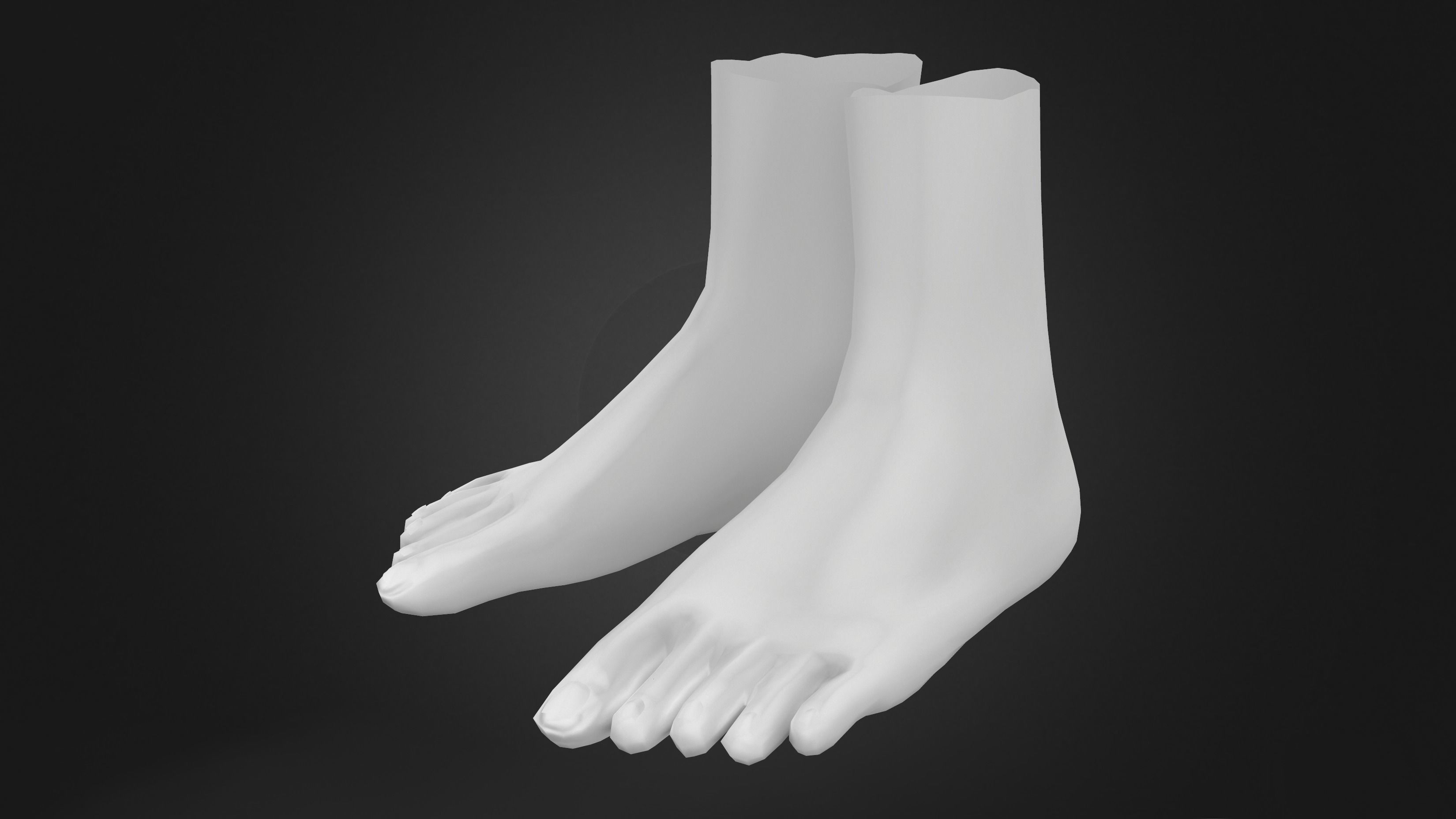 Flat Feet Low-poly 3D model_6
