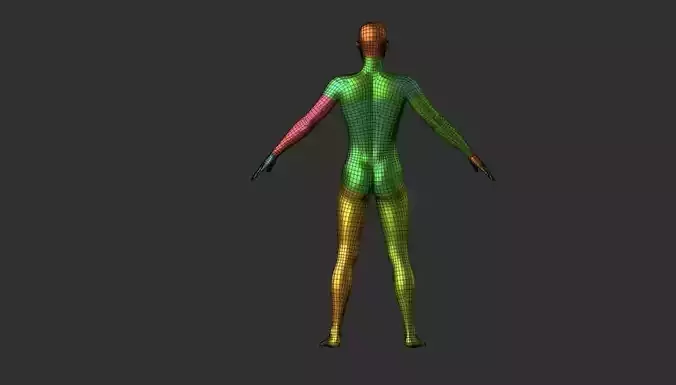 human male base model for sclubture or anatomy  study 