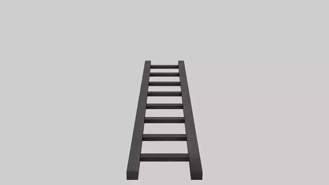 Wooden Ladder
