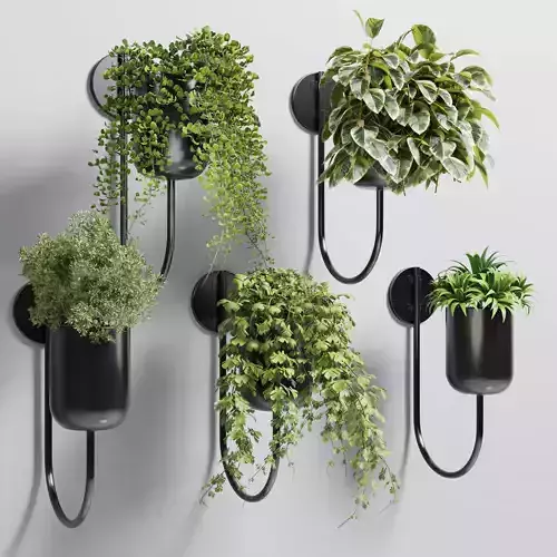 collection Indoor plant 135 vase metal stand wall plant