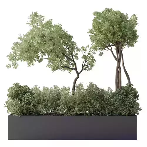 collection Indoor Outdoor plant 139 garden bax metal vase pots