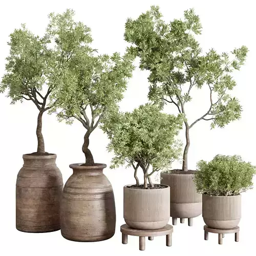  indoor outdoor plant 141 vase concrete wood old pot tree