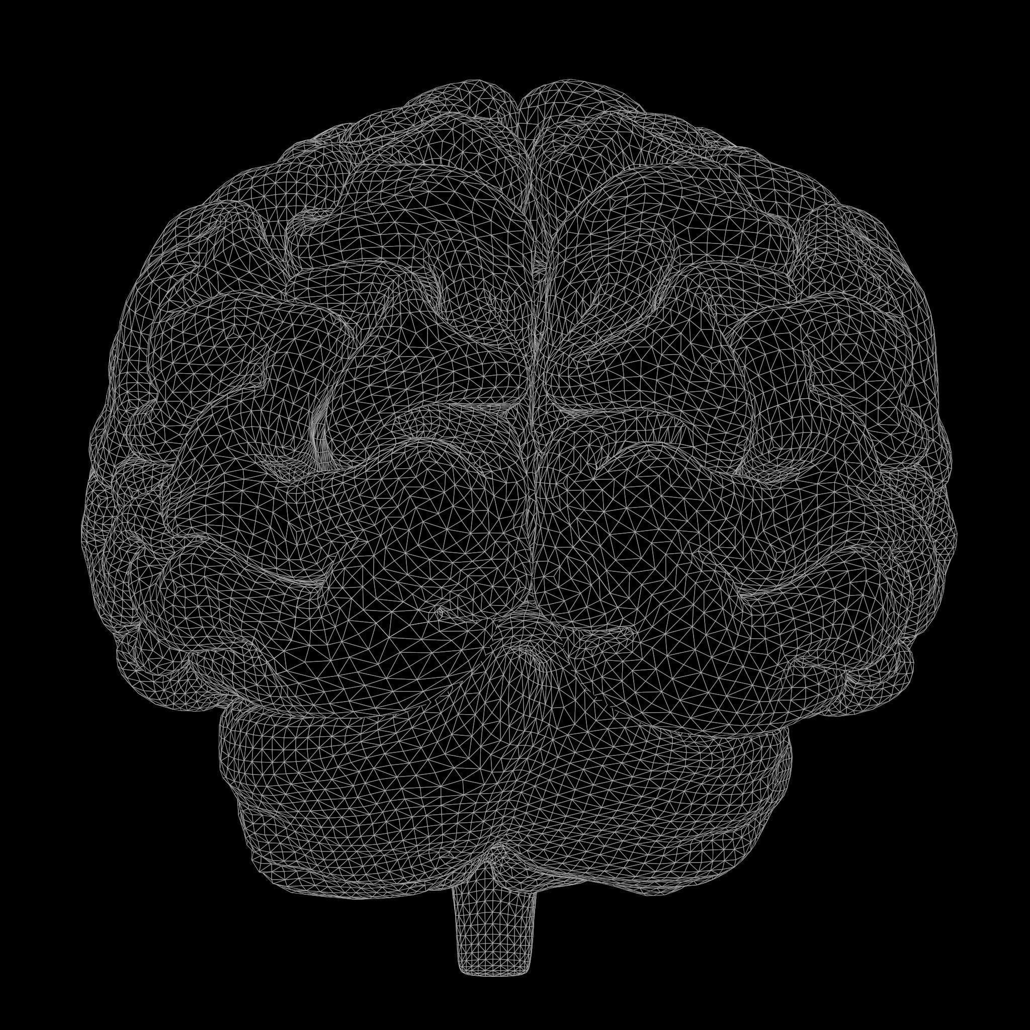 Human Brain 3D model_9