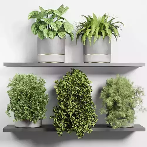 indoor outdoor plant vase concrete plant pot on shelves