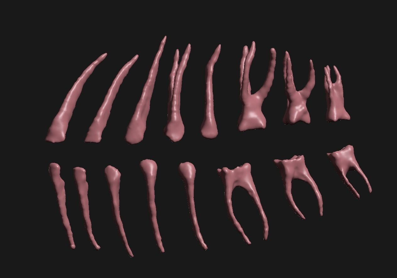 Natural teeth anatomy with root canal and solid pulp set 3D print model_8